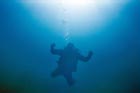 diver_spaceman.jpg