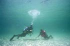 finpivot_diving_padi.jpg