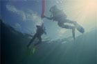 surface_dive_training.jpg