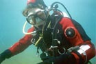 inquisitive_pipefish.jpg