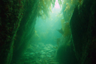 gully_porthkerris.jpg