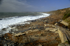 gumwalloe_where_is_the_sand_2.jpg