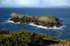 mullion_island_jan.jpg