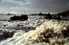 stormy_dollar_cove.jpg